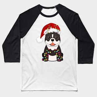 Pitbull Holiday Christmas Light - Funny Pibull Lights Christmas in Santa Hat Holiday Santa Baseball T-Shirt